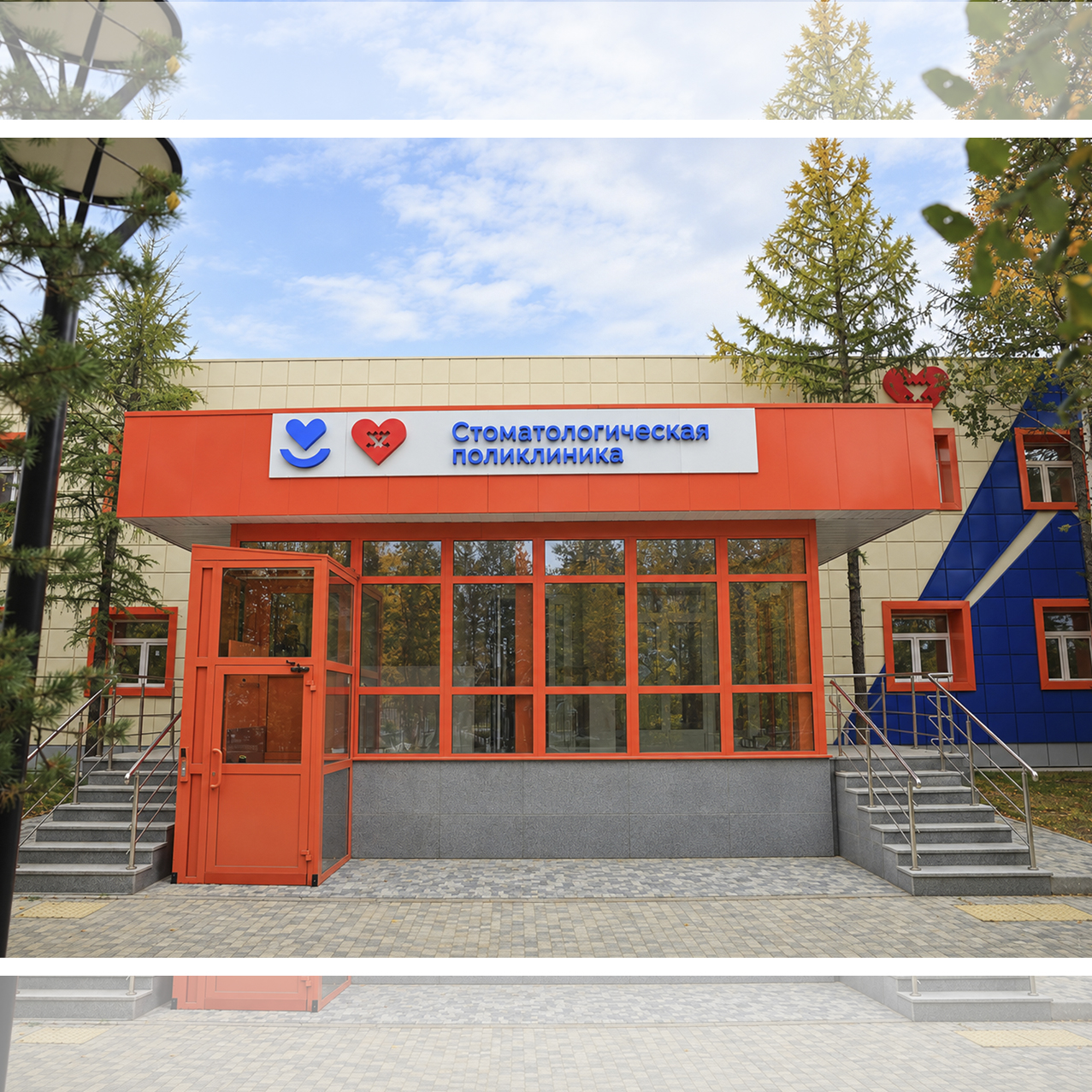 Стоматология